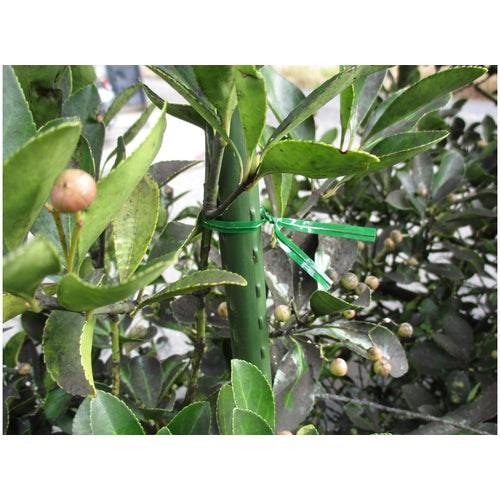 TRUSCO 園芸用ビニールタイ 幅4mm×長さ100mm 緑 100本入