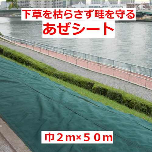 お買い得商品! 国産 畦保護シート【あぜシート】(2×50m)