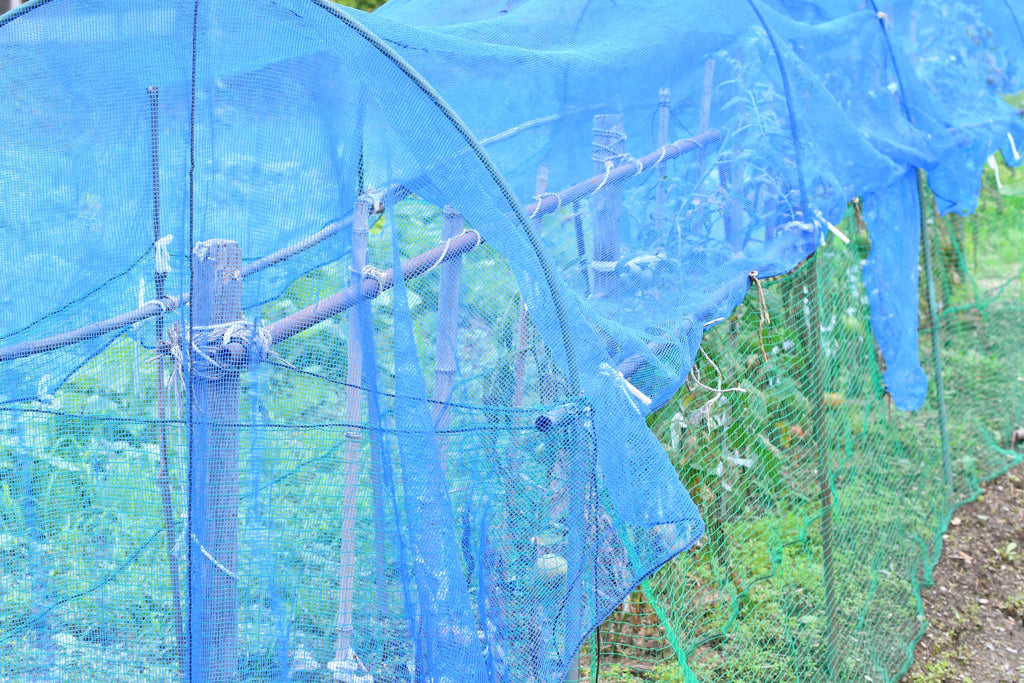 農業ネット・シート