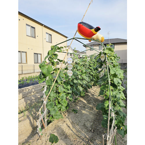 ミツギロン ピカット!3兄弟