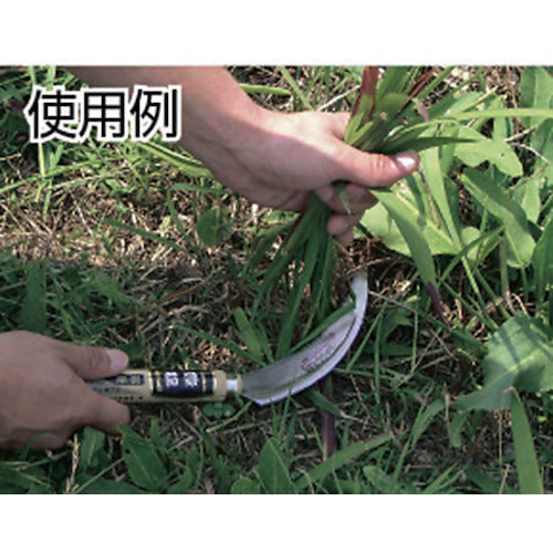 豊稔 光山作ステン金2号鋼鋸鎌(普通目)