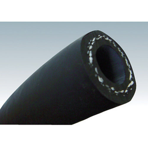 ハッコウ スチームホース 12φ 10m