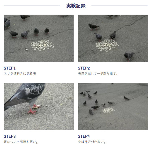 日本鳩対策センター ピーコン 忌避剤 ジェルタイプ コーキングガン付 285g