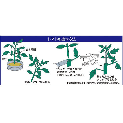 サカタのタネ 接木クリップ