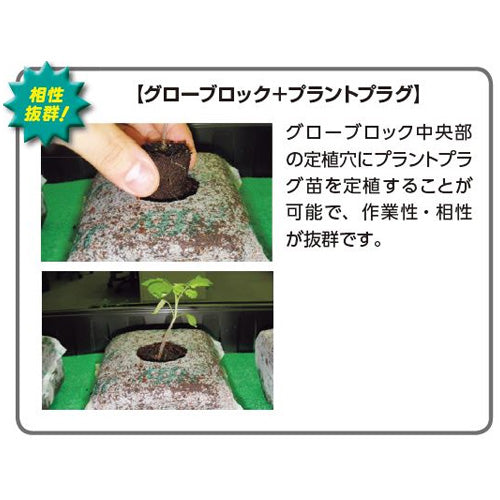 ジフィー 育苗素材・ジフィー グローブロック PLA