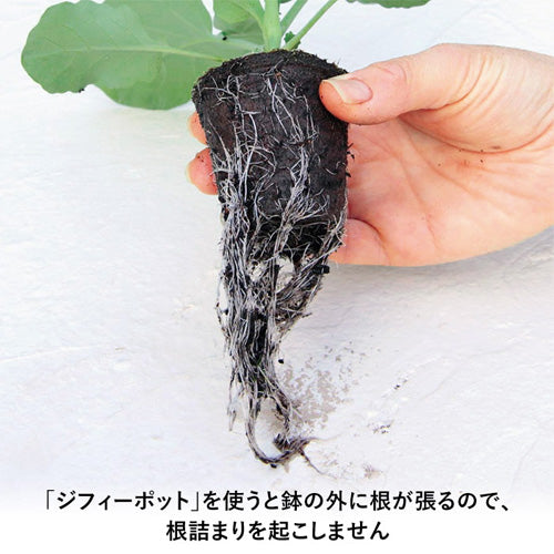 ジフィー エコポット・ジフィー ポット【丸型】