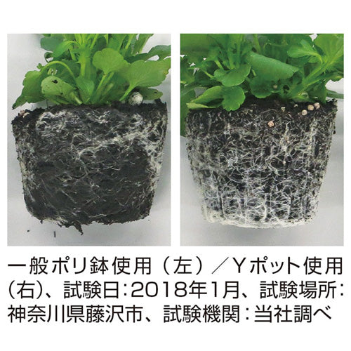 サカタのタネ Yポット