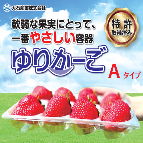 イチゴ専用 やさしい容器 「ゆりかーご」 Aタイプ 上下 セット イチゴ専用 やさしい容器 「ゆりかーご」 Aタイプ 上下 セット