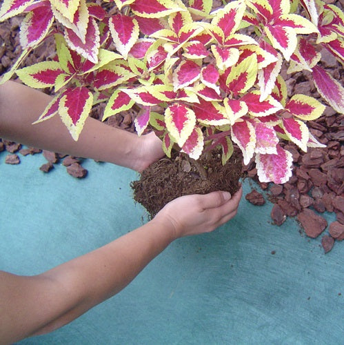 お買い得3本セット! 国内メーカー製 砂利下 防草シート【じゃりしたシート】(0.5×20m)