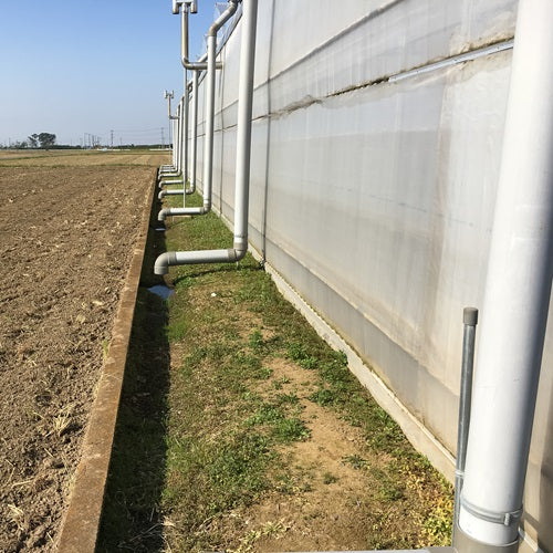 お買い得商品! 国産 畦保護シート【あぜシート】(1×50m)