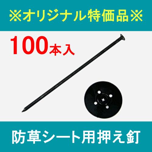 ※オリジナル特価品※ 防草シート用押え釘 黒 100本セット