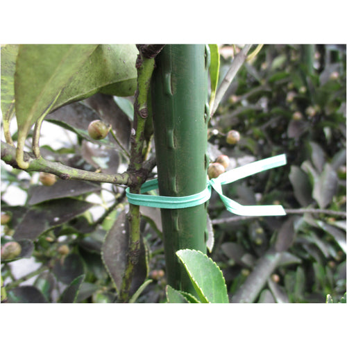TRUSCO 園芸用ペーパータイ 幅4mm×長さ100mm 緑 100本入