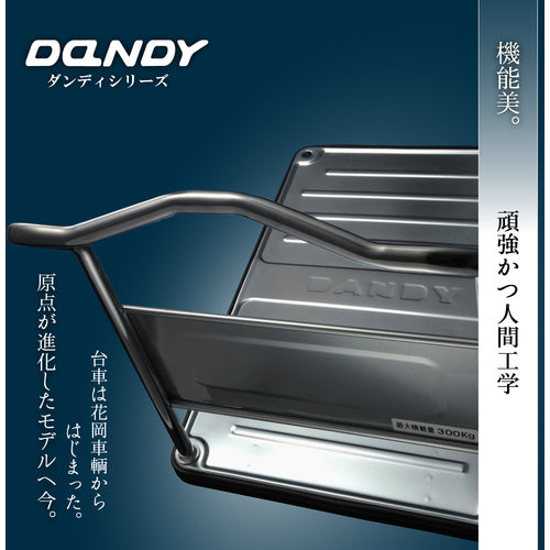 ダンディ スチール台車 ダンディDシリーズ タイプDG 固定ハンドル式 W1200×D750