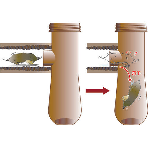 ミツギロン モグラ被害 モグ落下ー 116×100×305mm