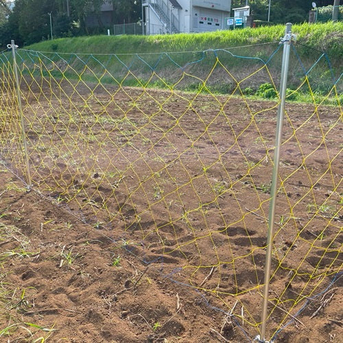 ※まとめ買い特価※　かんたんいのししネット 1.6m×20m（ステン入り）【30枚セット】