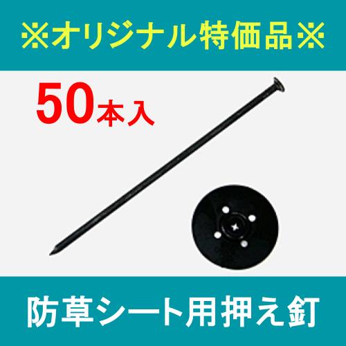 ※オリジナル特価品※ 防草シート用押え釘 黒 50本セット