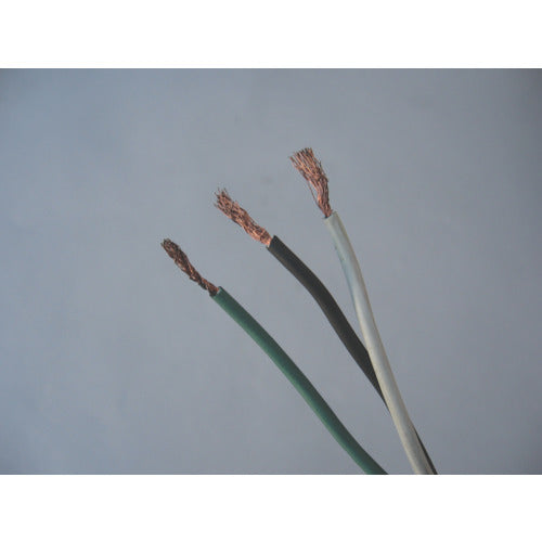 アクアシステム 高粘度オイル用電動ハンディポンプ （単相200V） 油