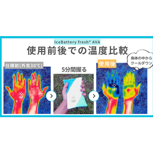 アイ・ティ・イー アイスバッテリーフレッシュAVA（保冷ポーチ付き）