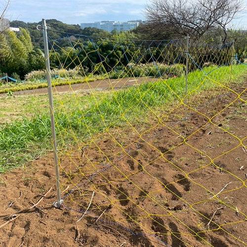 ※まとめ買い特価※　かんたんいのししネット 1.6m×20m（ステン入り）【30枚セット】