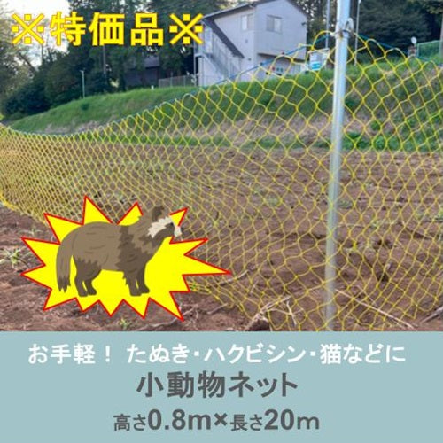※特価品※ 小動物ネット 0.8m×20m