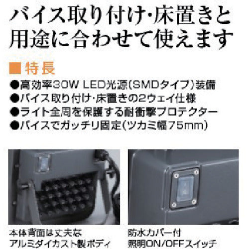 ハタヤ 30W LEDケイ・ライト