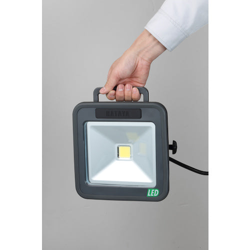 ハタヤ 30W LEDケイ・ライト