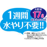 1週間水やり不要 リッチェル うるオン プランター 65型