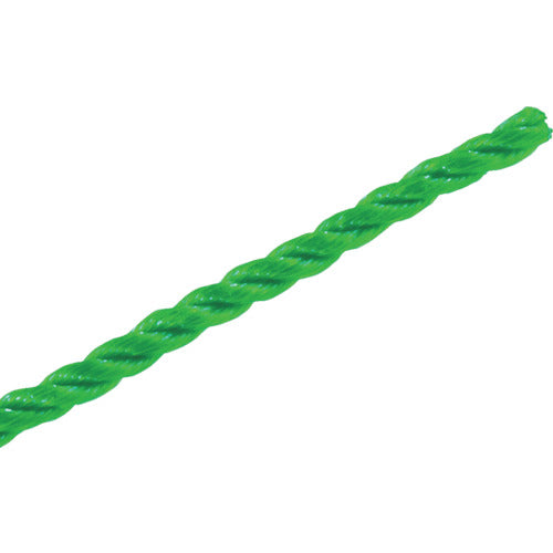 Dio 園芸用 ロープ 太さ2mm×長さ100m 緑