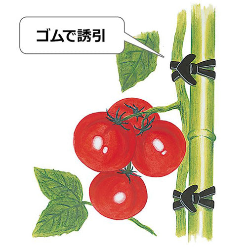 サカタのタネ 園芸用万能ワゴム・ゴムスビー(250本×30箱入)