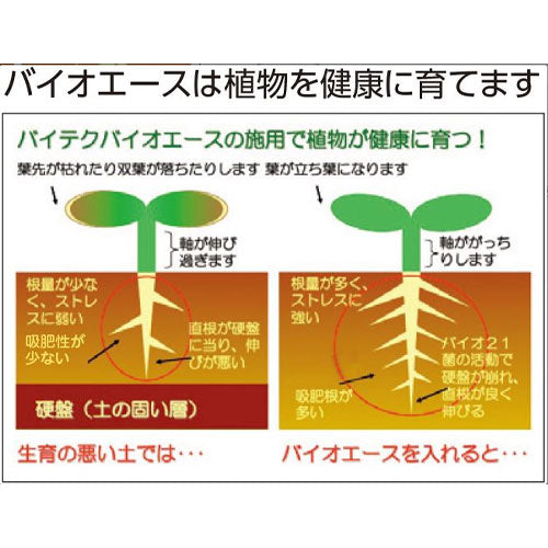 サカタのタネ 微生物肥料・バイテク バイオエース 15kg（50袋セット）