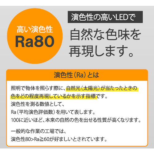 IRIS 537862 LEDワークライトワイドパネル(防水仕様)スタンドタイプ LWT-10000S-WP